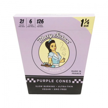 Blazy Susan Purple Cones 1 1/4 Size 6ct - 21pk Display